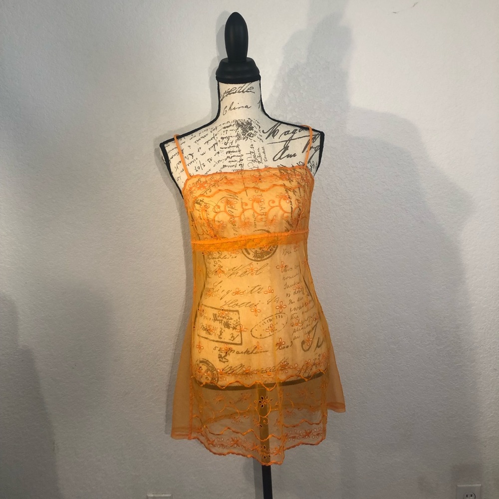 Vintage sheer embroidered dress